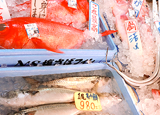 すみた水産画像