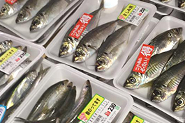 すみた水産
